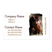 Yearling Business Cards