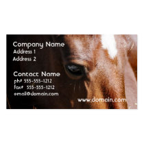 Yearling Business Cards business cards