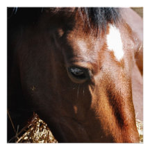 Yearling Invitations