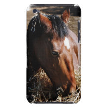 Yearling  iTouch Case Barely There iPod Case