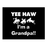 Yee Haw I'm a Grandpa T-shirts and Gifts Postcards