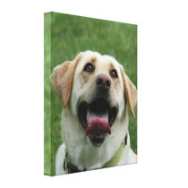 Yelllow Labrador Retriever Gallery Wrap Canvas