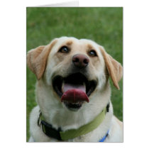 Yelllow Labrador Retriever Greeting Card