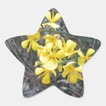 Yello Star Sticker