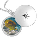 Yellow and Black Angel Fish Pendant