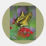 Yellow and Black Butterfly Round Stickers