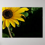 Yellow and Black Posters