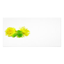 Yellow and Green Mums Personalized Photo Card