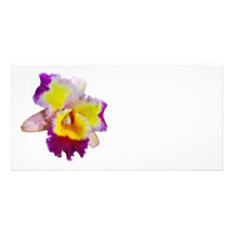 Yellow and Magenta Cattleya Orchid Personalized Photo Card