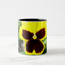 Yellow And Maroon Pansy Coffee Mug
