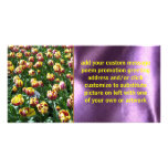 Yellow and Purple Tulips Photo Greeting Card