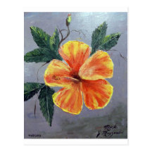 Yellow and Red Hibiscus Post Card