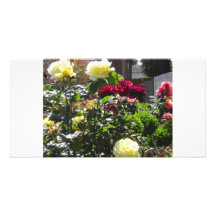 Yellow and Red Roses Card Custom Photo Card
