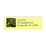 Yellow and White Daffodils Return Address Label