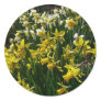 Yellow and White Daffodils Sticker