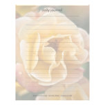 Yellow Apricot Rose DSC3260 Letterhead Template