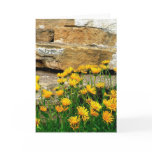 Yellow Asters Card