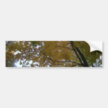 Yellow autumn bumper sticker