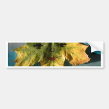 Yellow autumn bumper sticker