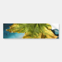 Yellow autumn bumper stickers