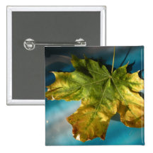 Yellow autumn button