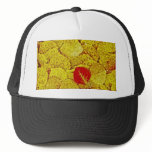 Yellow Autumn - Painting Art Hat