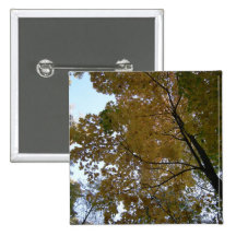 Yellow autumn pins