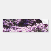 Yellow Azaleas, Kew Gardens flowers Bumper Sticker