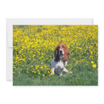 yellow Basset hound flowers Invitations