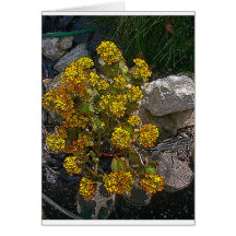 Yellow Batik Cactus Greeting Card