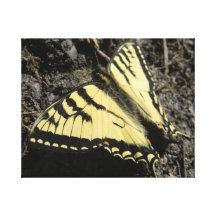 Yellow Beauty Gallery Wrapped Canvas
