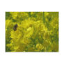 yellow bee 2