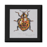 Yellow Beetle Products Refrigerator Magnets