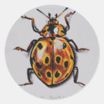 Yellow Beetle Products Sticker