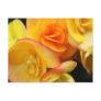 Yellow begonia post card