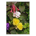 Yellow Begonias And Red, White Flowers flowers cards