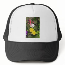 Yellow Begonias And Red, White Flowers flowers Hats