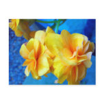 Yellow Begonias postcards