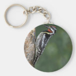 Yellow-bellied Sapsucker (male) Keychain