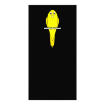 Yellow Bird. Canary. On Black. Customized Photo Card