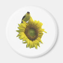 Yellow bird on yellow sunflower. fridge magnets