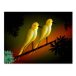 YELLOW BIRDS POST CARDS