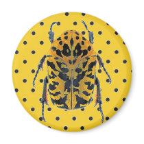 Yellow & Black Beetle on Yellow and Black Dot Magnet