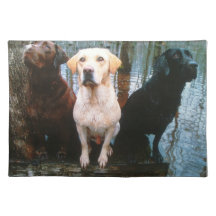 yellow,black & chocolate lab on placemat