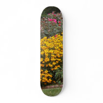 Yellow Black Eyed Susans
