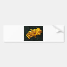 YELLOW BLOOMS BUMPER STICKERS