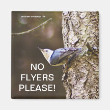 Yellow & Blue bird No Flyers Please Magnet