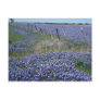 Yellow Blue bonnets flowers Post Card