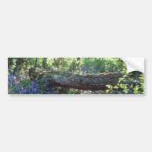 Yellow Bluebell wood, Howe Park Wood, Milton Keyne Bumper Stickers