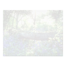 Yellow Bluebell wood, Howe Park Wood, Milton Keyne Letterhead Design